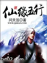 《仙缘五行》小说封面
