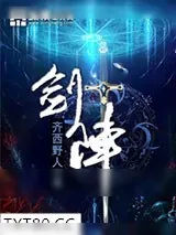 《剑阵》小说封面