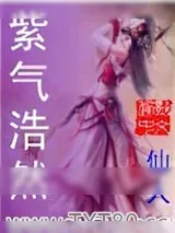 《紫气浩然》小说封面