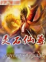 《灵石仙尊》小说封面