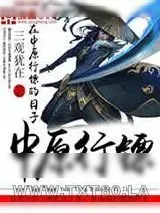 《在中原行镖的日子》小说封面