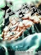 《龙飞魄武》小说封面