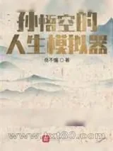 《孙悟空的人生模拟器》小说封面