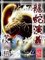 《龙蛇演义》小说封面