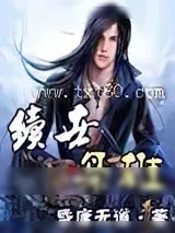 《续世枭雄》小说封面
