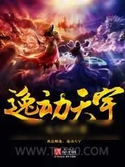 《逸动天宇》小说封面