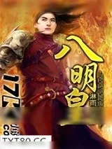 《八明皇》小说封面