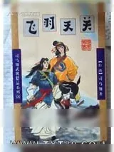 《飞羽天关》小说封面