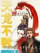 《天龙不败》小说封面