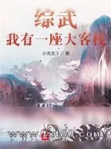 《综武：我有一座大客栈》小说封面
