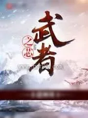 《武者之芯》小说封面