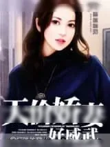 《天价娇妻好威武》小说封面