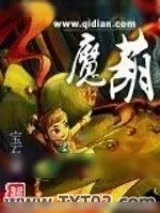 《魔葫》小说封面