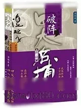 《四大名捕外传方邪真故事：破阵》小说封面