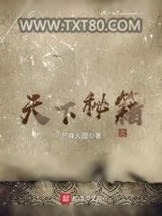 《天下秘籍》小说封面