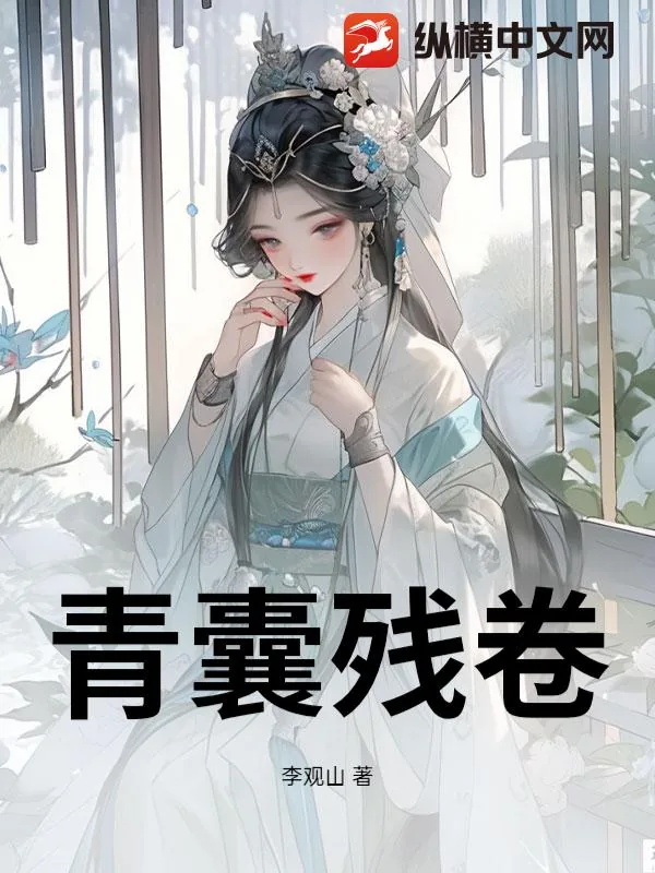 《青囊残卷》小说封面