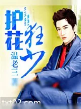 《护花狂少》小说封面