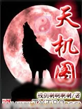 《天机图》小说封面