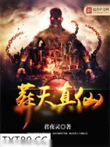 《葬天真仙》小说封面