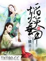 《焰火天蚕甲》小说封面