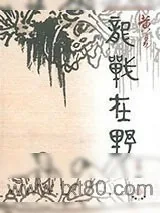 《龙战在野》小说封面