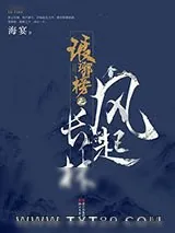 《琅琊榜之风起长林》小说封面