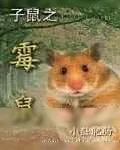 《子鼠之霉鼠》小说封面