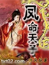 《凤命天子》小说封面