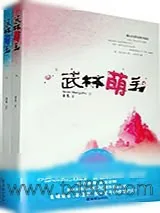 《武林萌主》小说封面