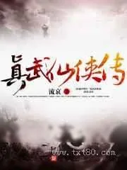 《真武仙侠传》小说封面