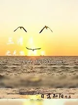 《三清原之无极生太极》小说封面