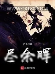 《尽余晖》小说封面