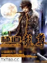 《极道龙尊》小说封面
