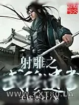 《射雕之武穆遗书》小说封面