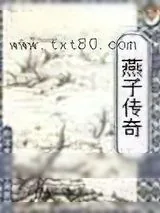 《燕子传奇》小说封面