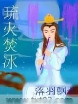 《琉火焚冰》小说封面