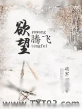 《欲望腾飞》小说封面