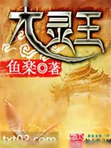 《大灵王》小说封面