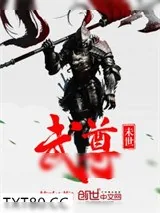 《未世武尊》小说封面