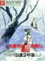 《风雪奇缘之泪雨红颜劫》小说封面