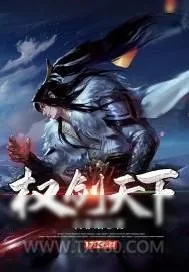 《权剑天下》小说封面