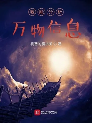 《我能分析万物信息》小说封面