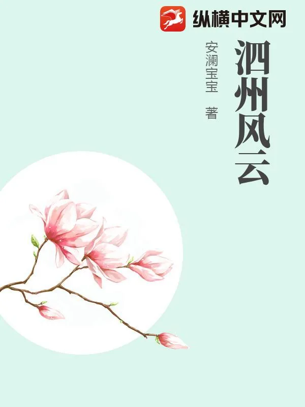 《泗州风云》小说封面