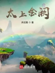 《太上金阙》小说封面