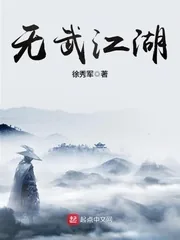《无武江湖》小说封面