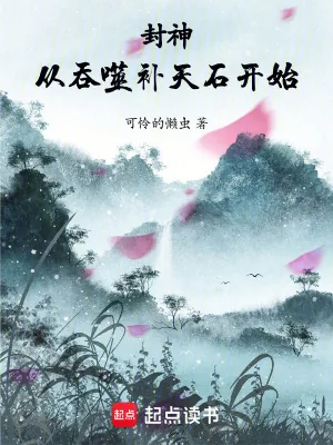 《封神:从吞噬补天石开始》小说封面