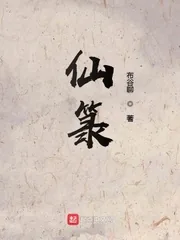 《仙箓》小说封面