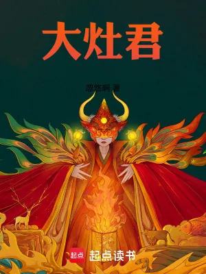 《大灶君》小说封面