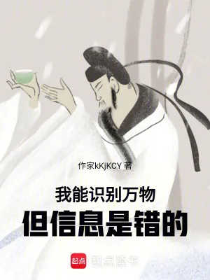《我能识别万物，但信息是错的》小说封面