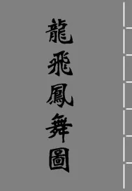 《龙飞凤舞图》小说封面